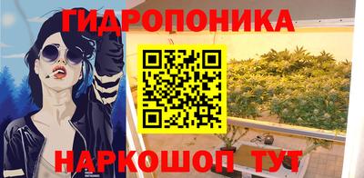 эйфоретик Можга