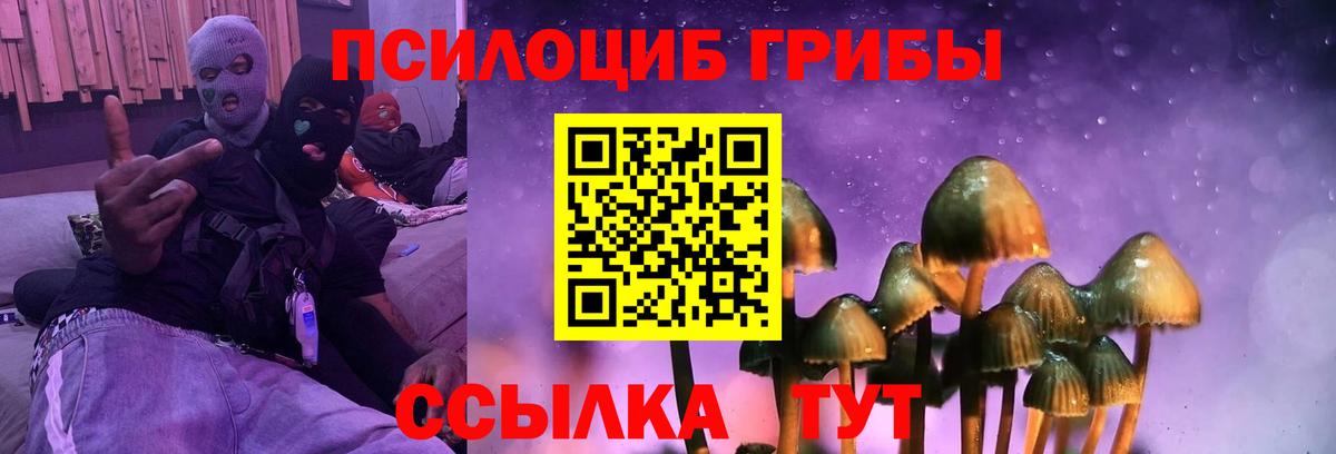 Галлюциногенные грибы MAGIC MUSHROOMS  Галлюциногенные грибы мицелий  Вход с VPN  Спасск-Дальний 